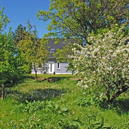 Ferienhaus Celina Lejlighed Middelhagen